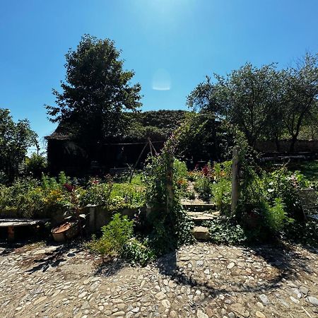 Saschiz 175 Guesthouse מראה חיצוני תמונה