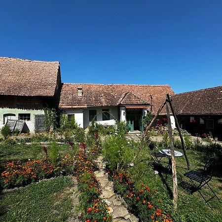 Saschiz 175 Guesthouse מראה חיצוני תמונה