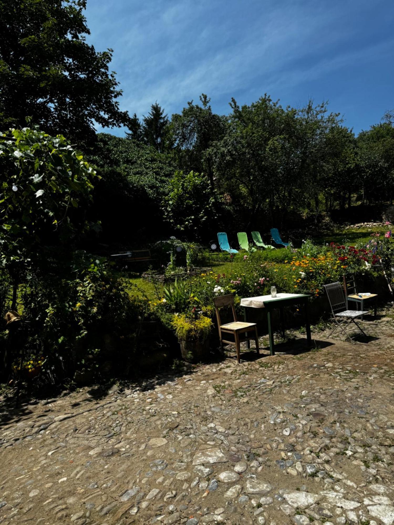 Saschiz 175 Guesthouse מראה חיצוני תמונה
