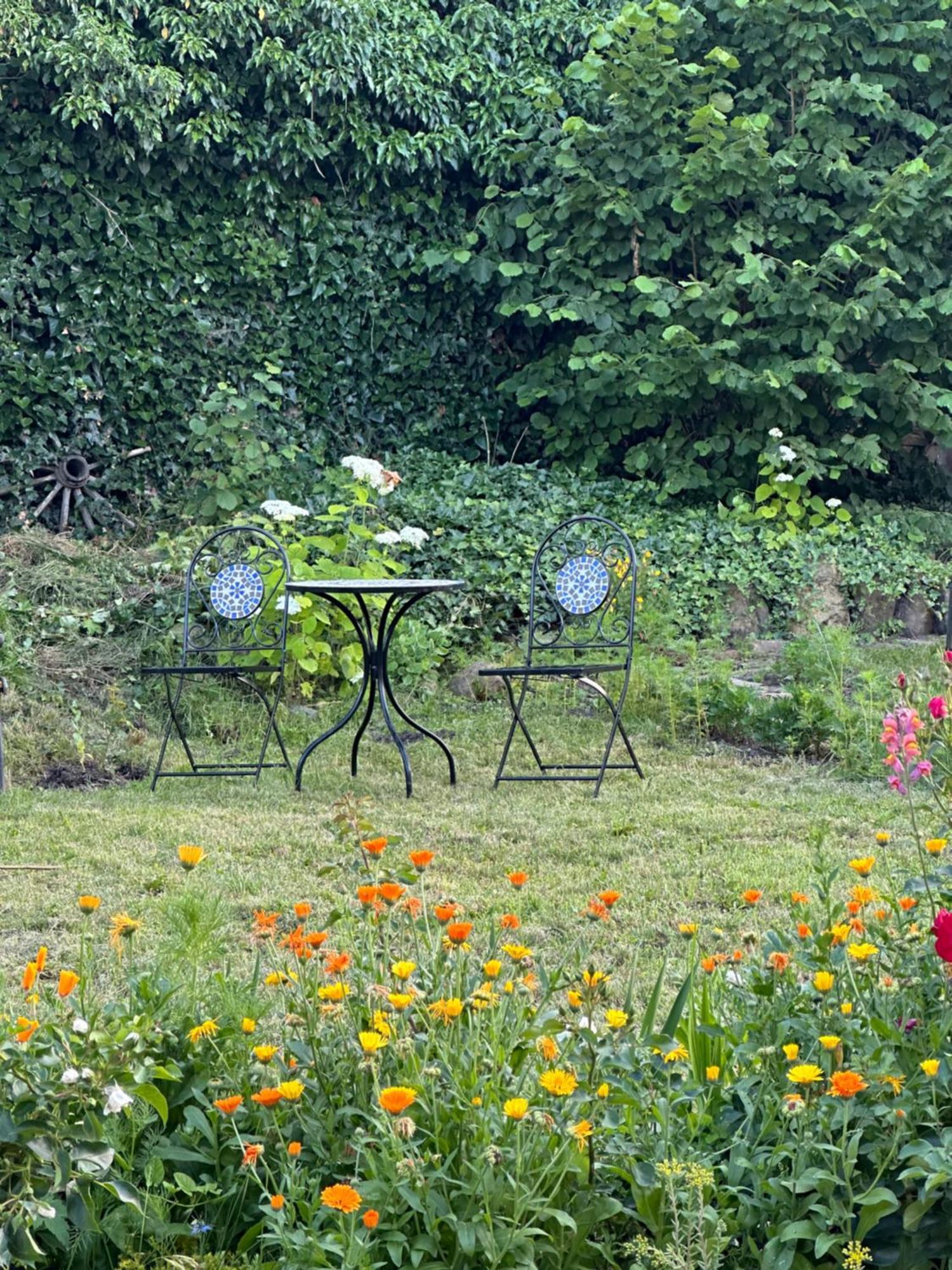 Saschiz 175 Guesthouse מראה חיצוני תמונה