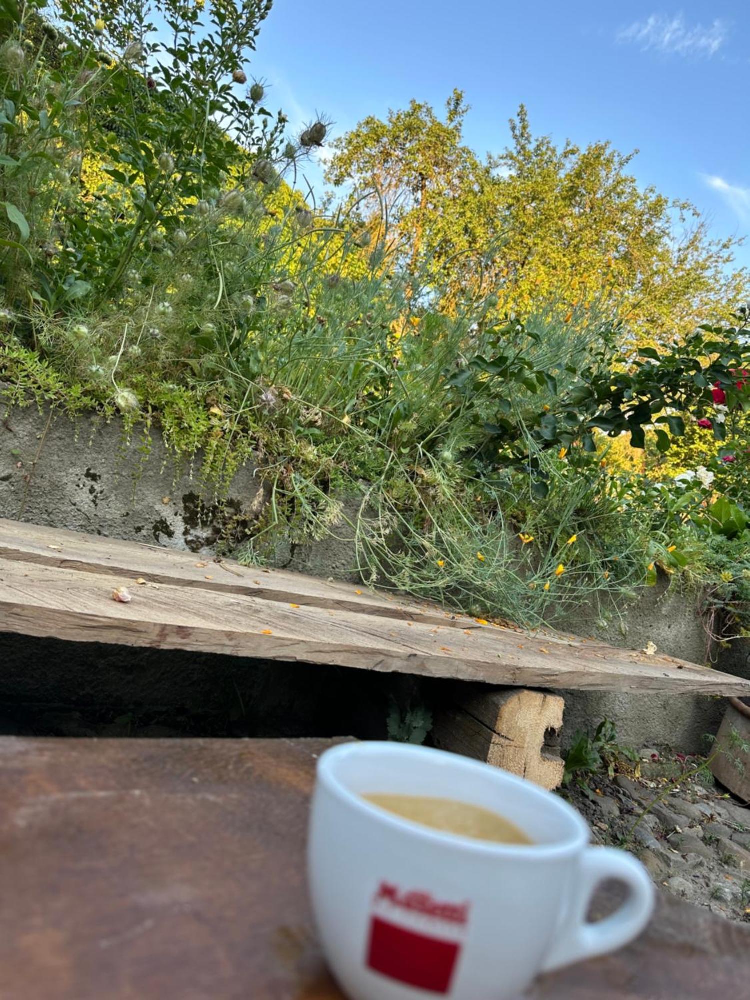Saschiz 175 Guesthouse מראה חיצוני תמונה