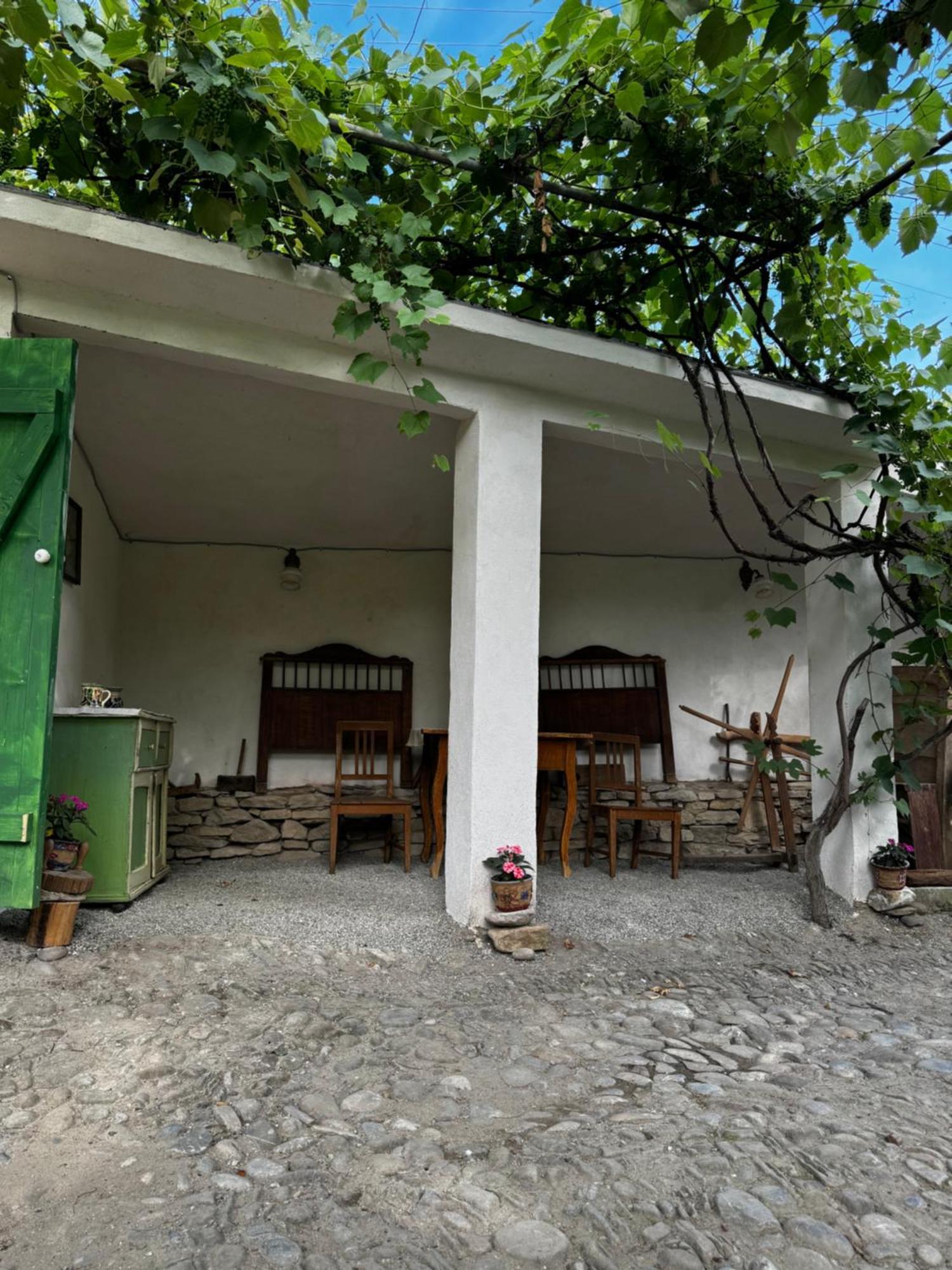 Saschiz 175 Guesthouse מראה חיצוני תמונה